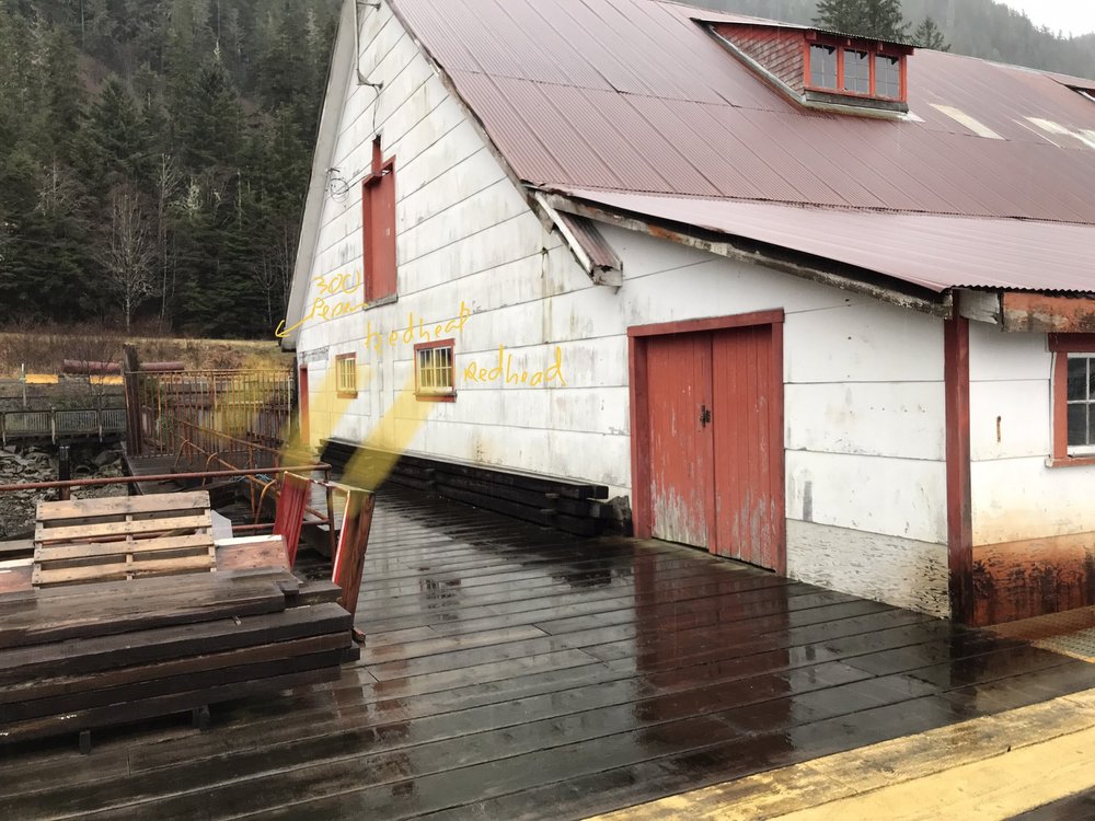 Scouting Cannery.19.jpeg