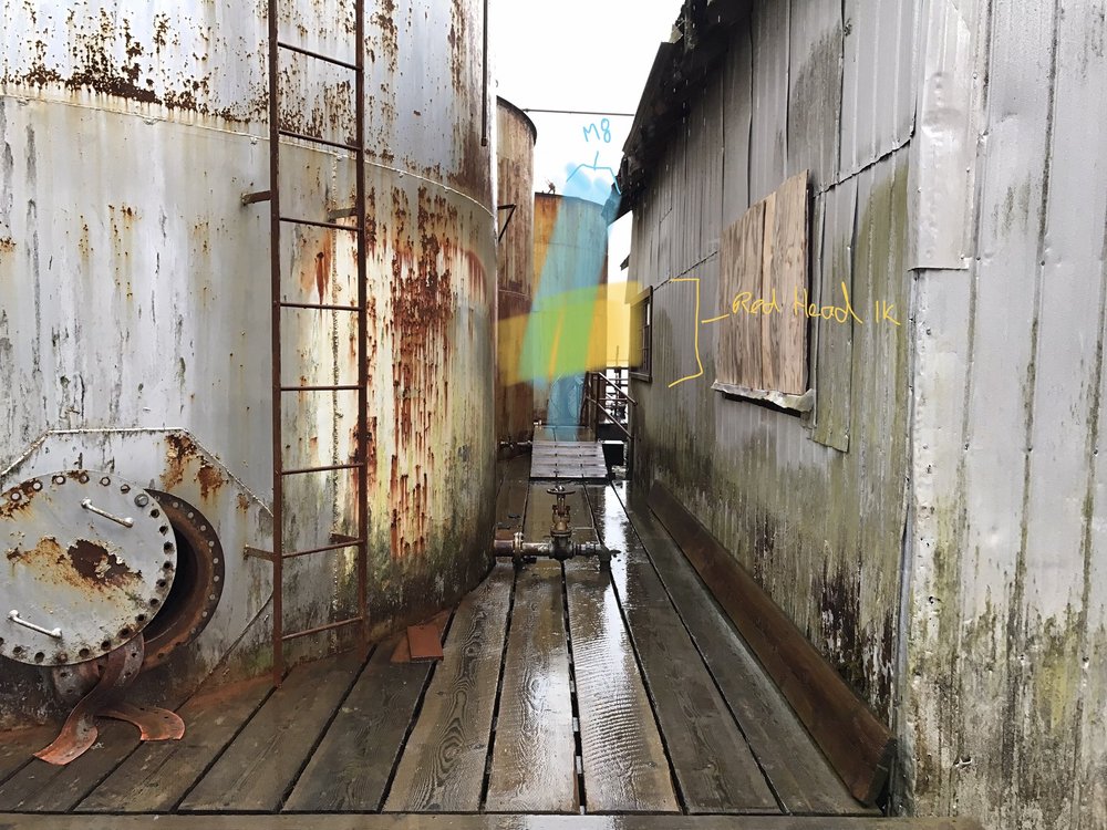 Scouting Cannery.21.jpeg