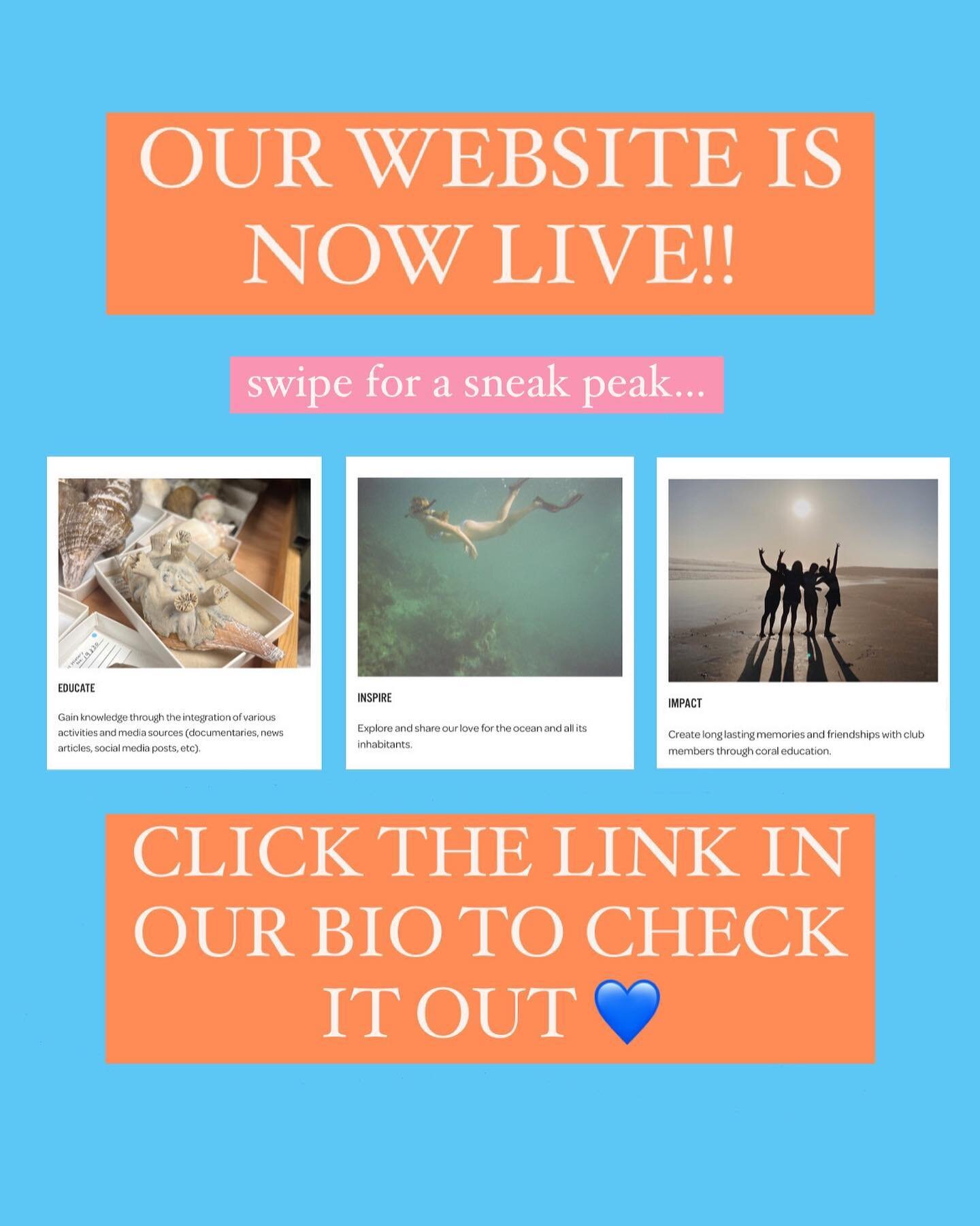 We are THRILLED to announce that the official website for Care for Coral is live!! This has been a work in progress for quite some time and we are so so excited to finally be able to share it with everyone! Click the link in our bio to check it out ?
