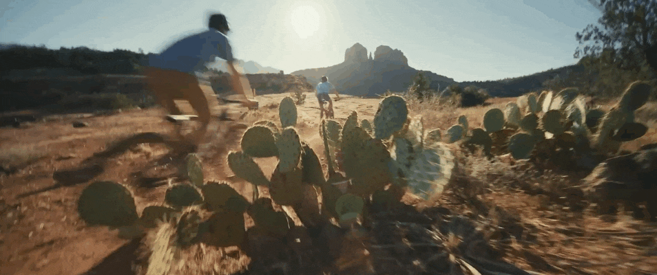 MONGOOSE // BORN IN DIRT