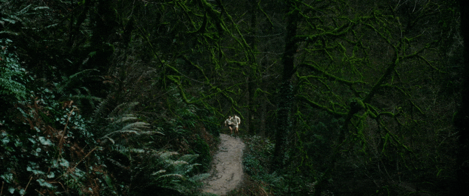 ALTRA // EXPERIENCE A NEW HIGH