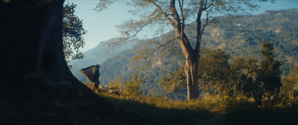 dZi FOUNDATION // PARTNERS IN PROSPERITY