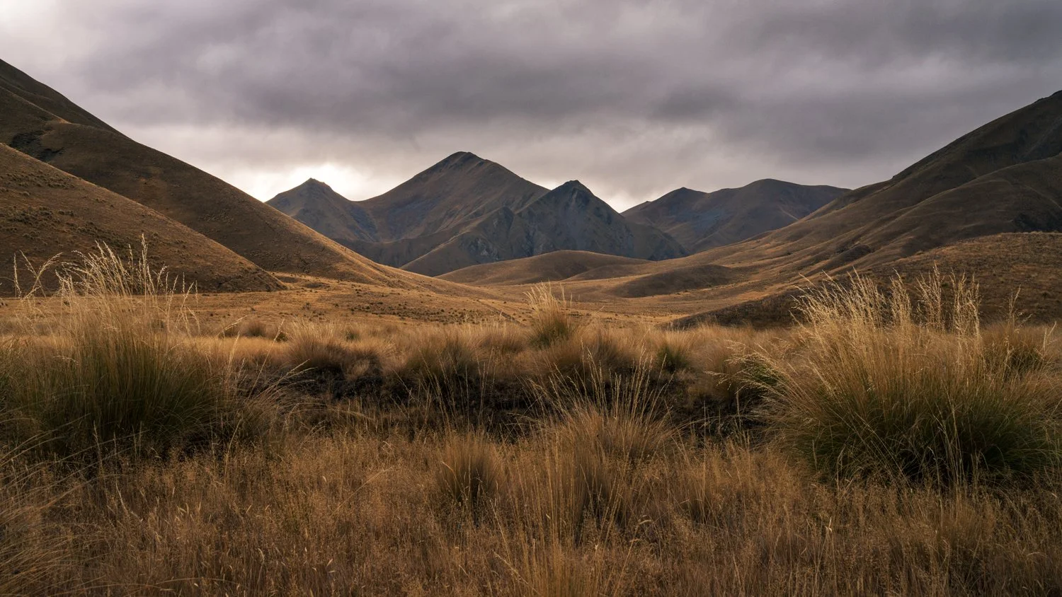 _DSC6614-3.jpg