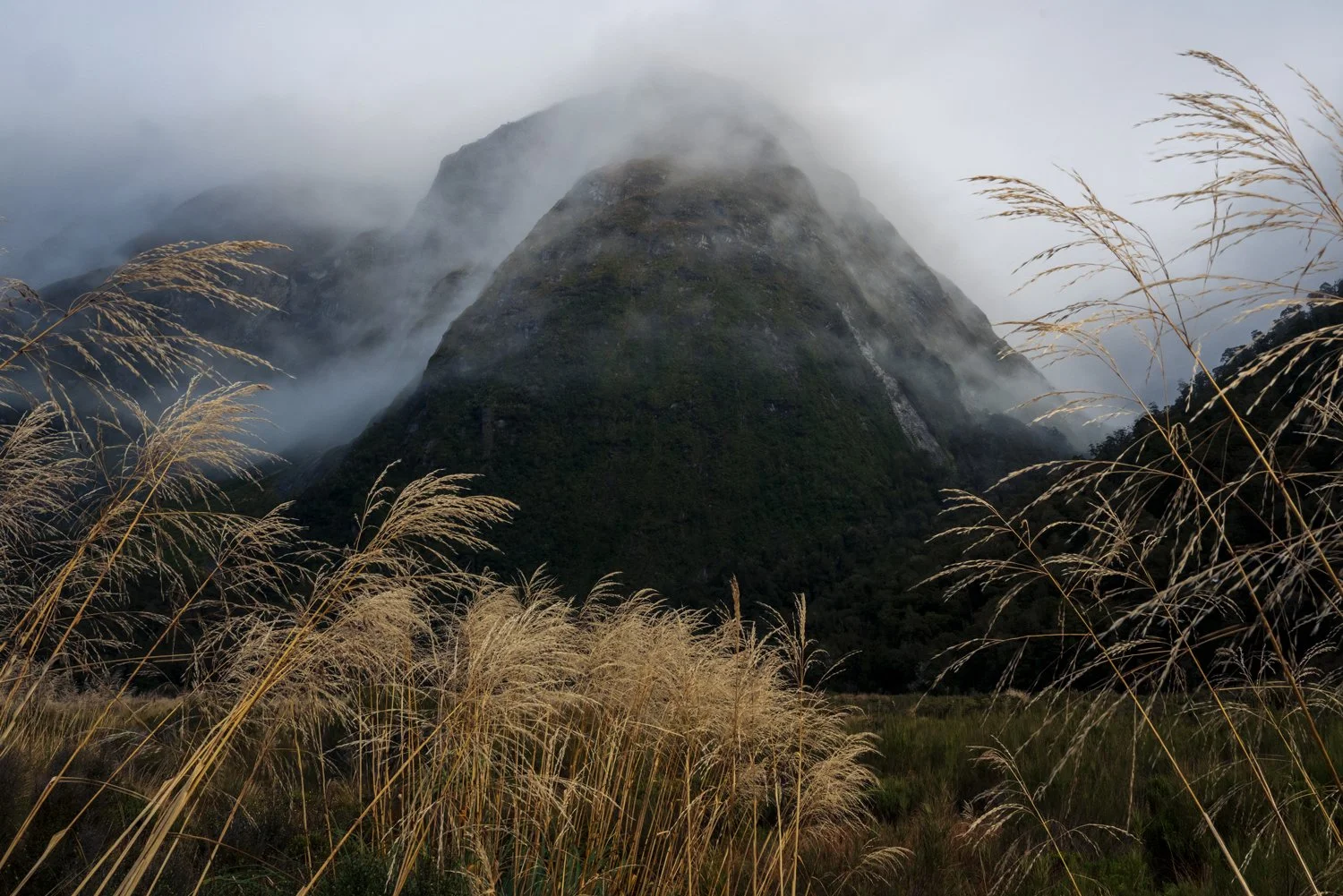 _DSC1342-43-Stack.jpg