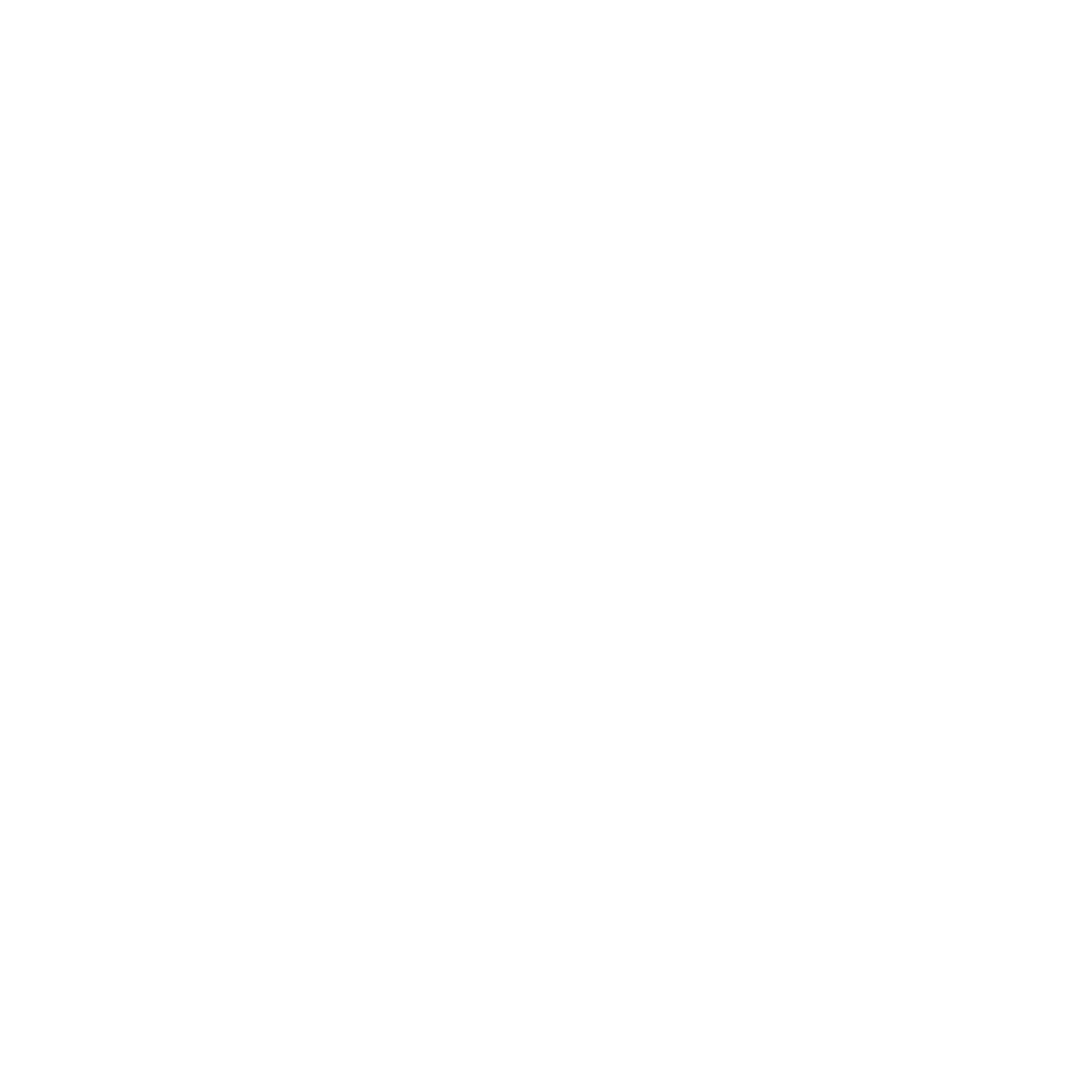 New-York- Sweet-16-Photographer