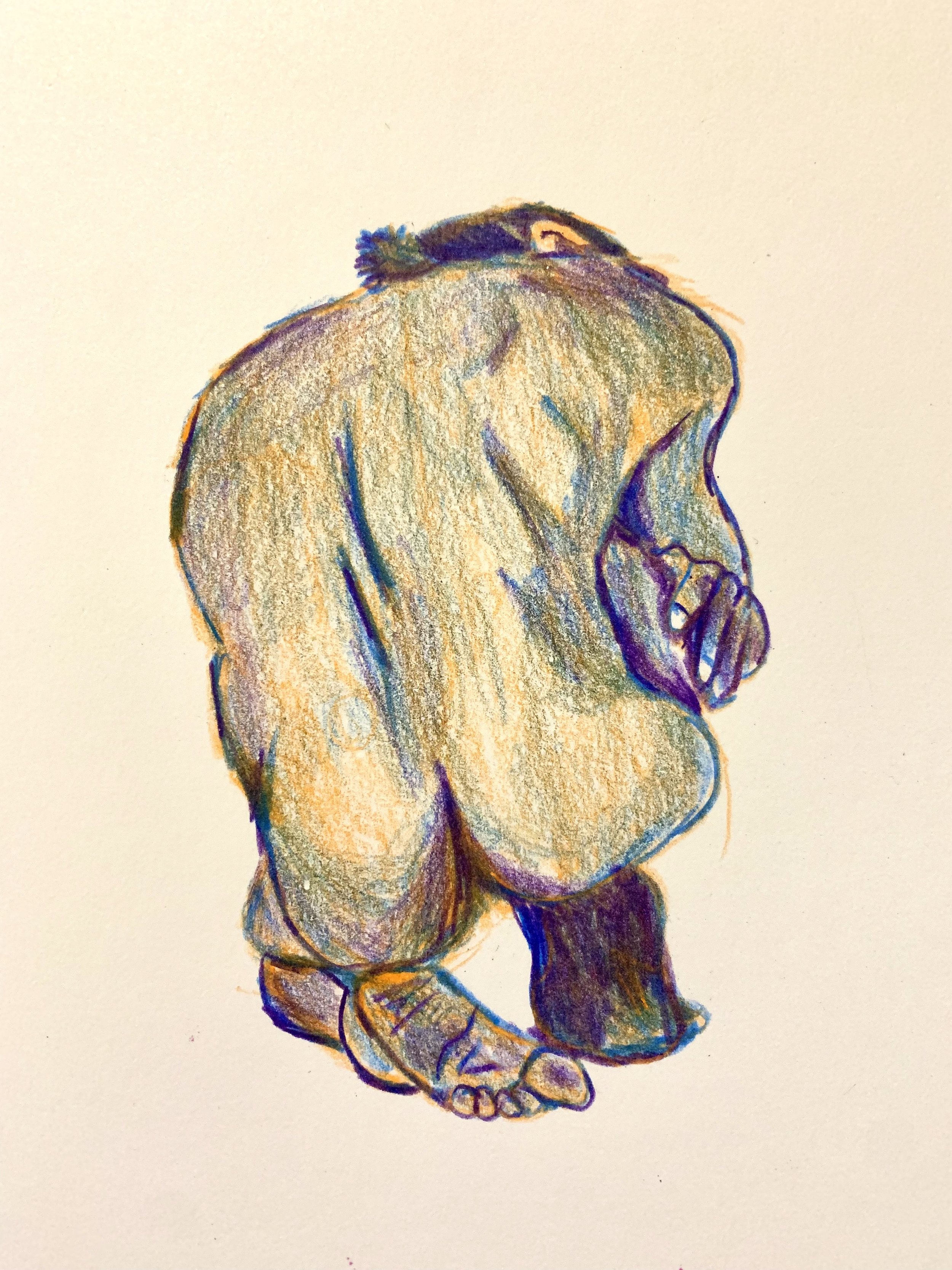 Figure Study | Colored Pencil | 2023