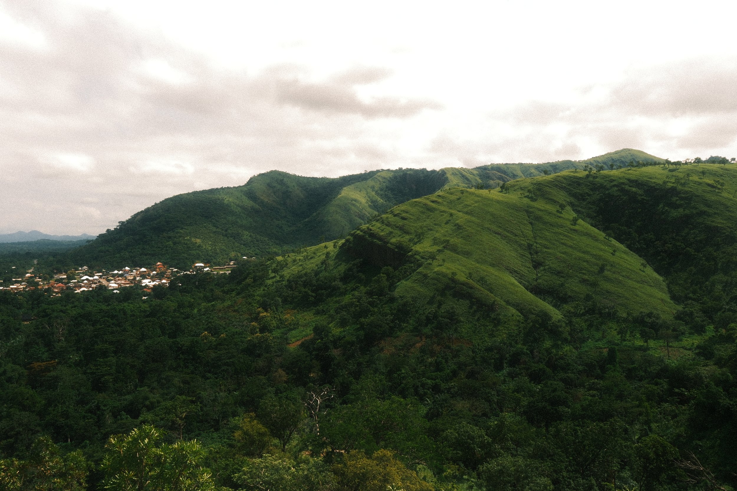 DSCF0849.JPG
