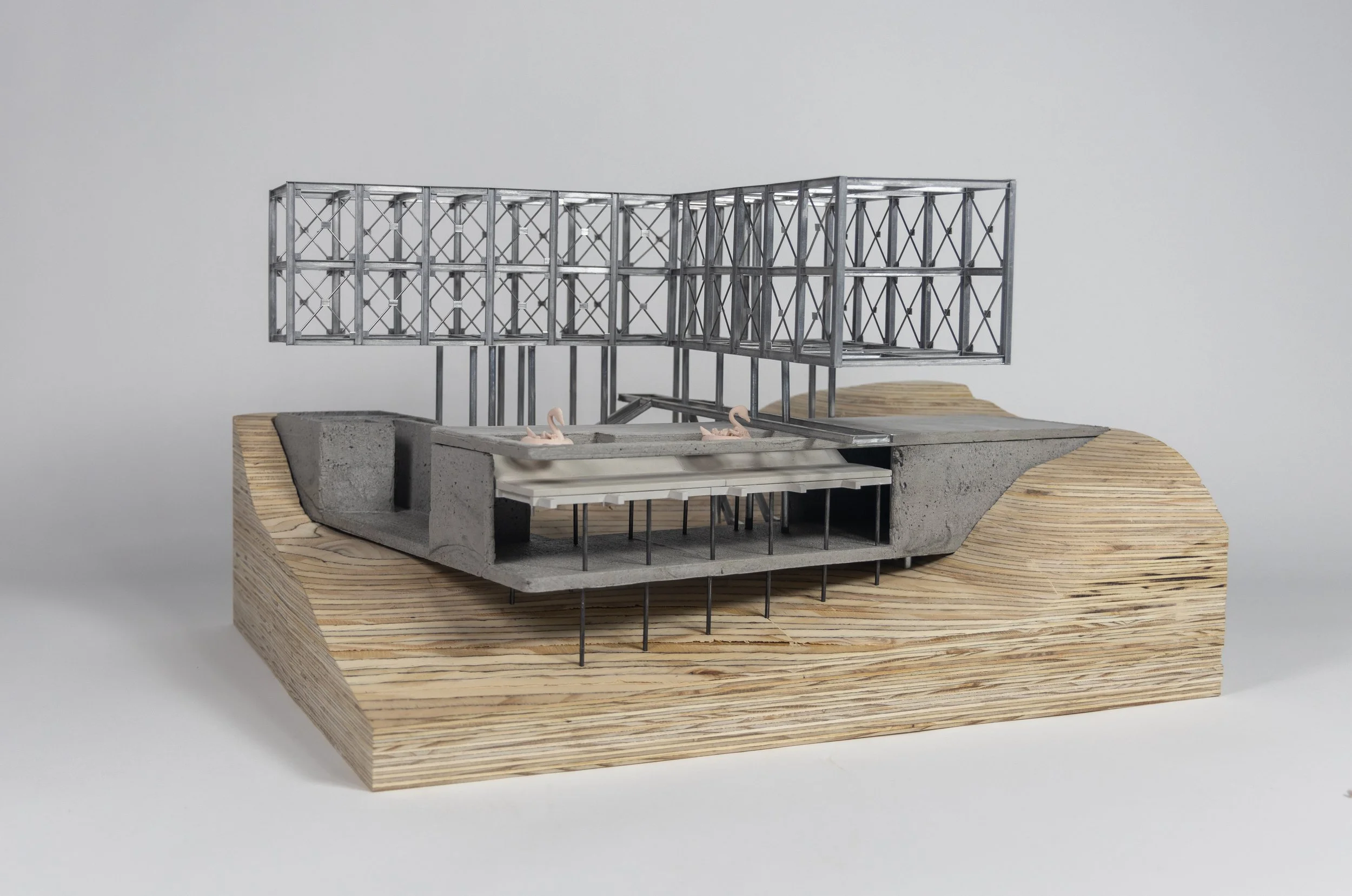 The Cantilever House