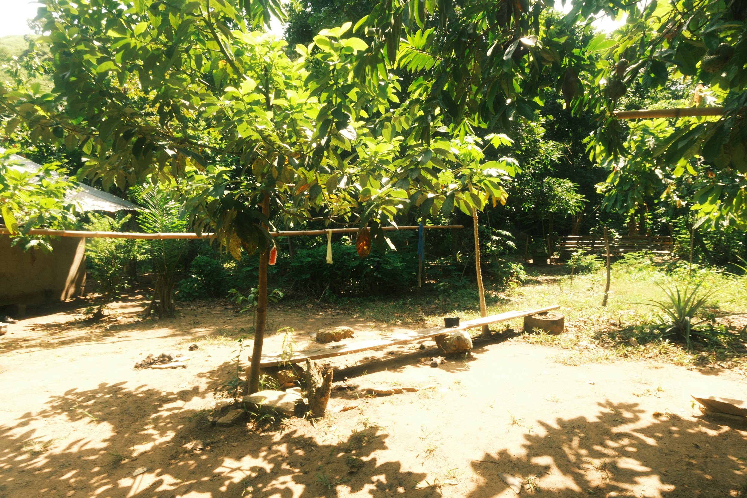 DSCF0881.JPG
