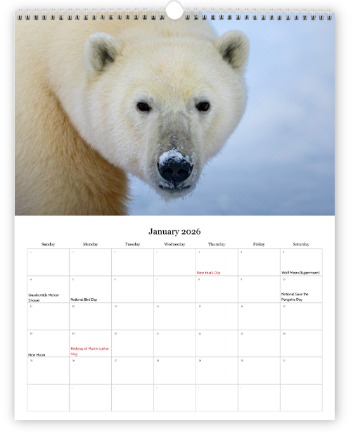 Screenshot 2025-12-01 005644.png