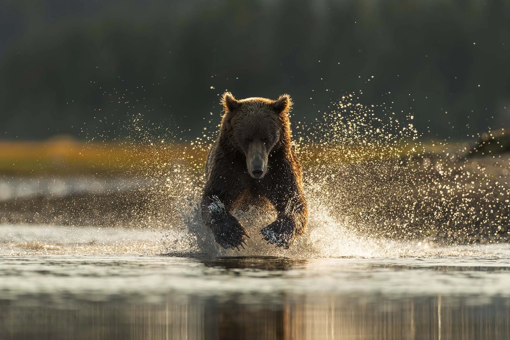 BB THROUGH WATER LR.jpg