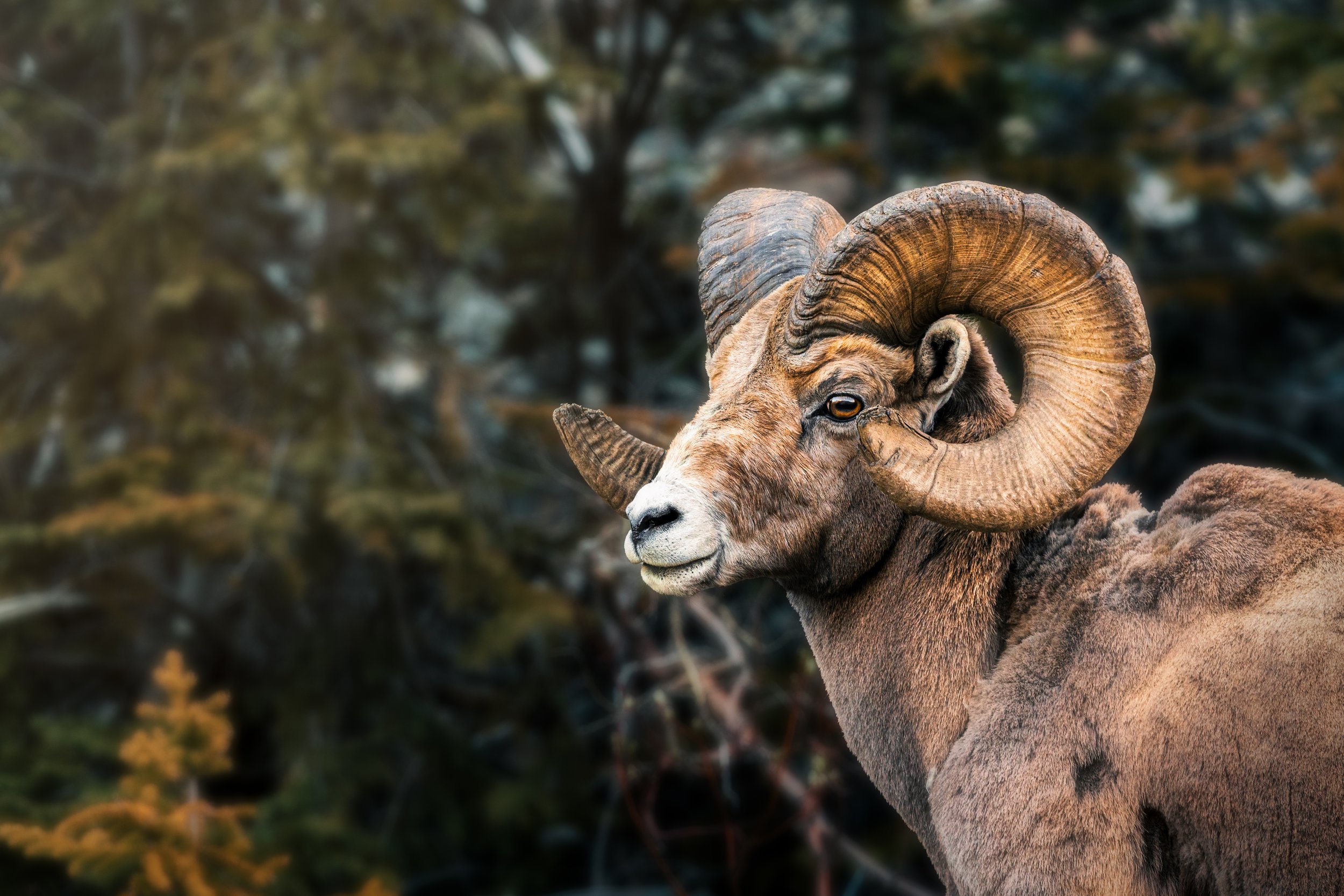 240608-JASPER-NRB-1899-Edit.jpg