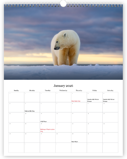 Screenshot 2025-11-30 211302.png