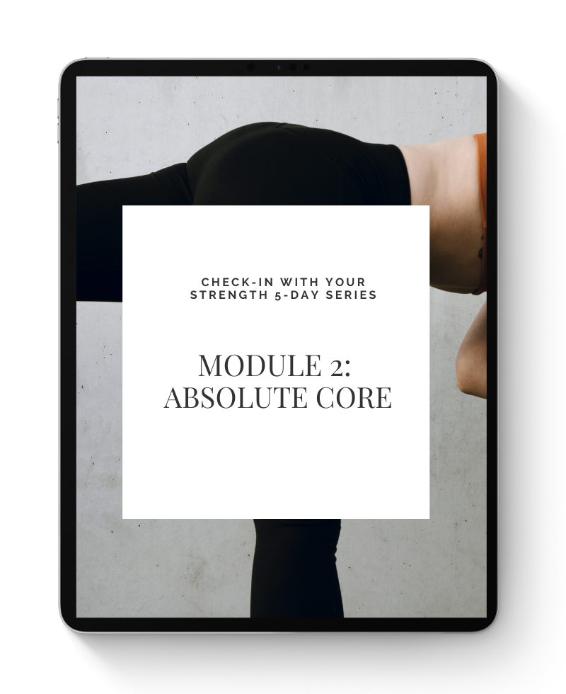 Module 2 - Absolute Core.png