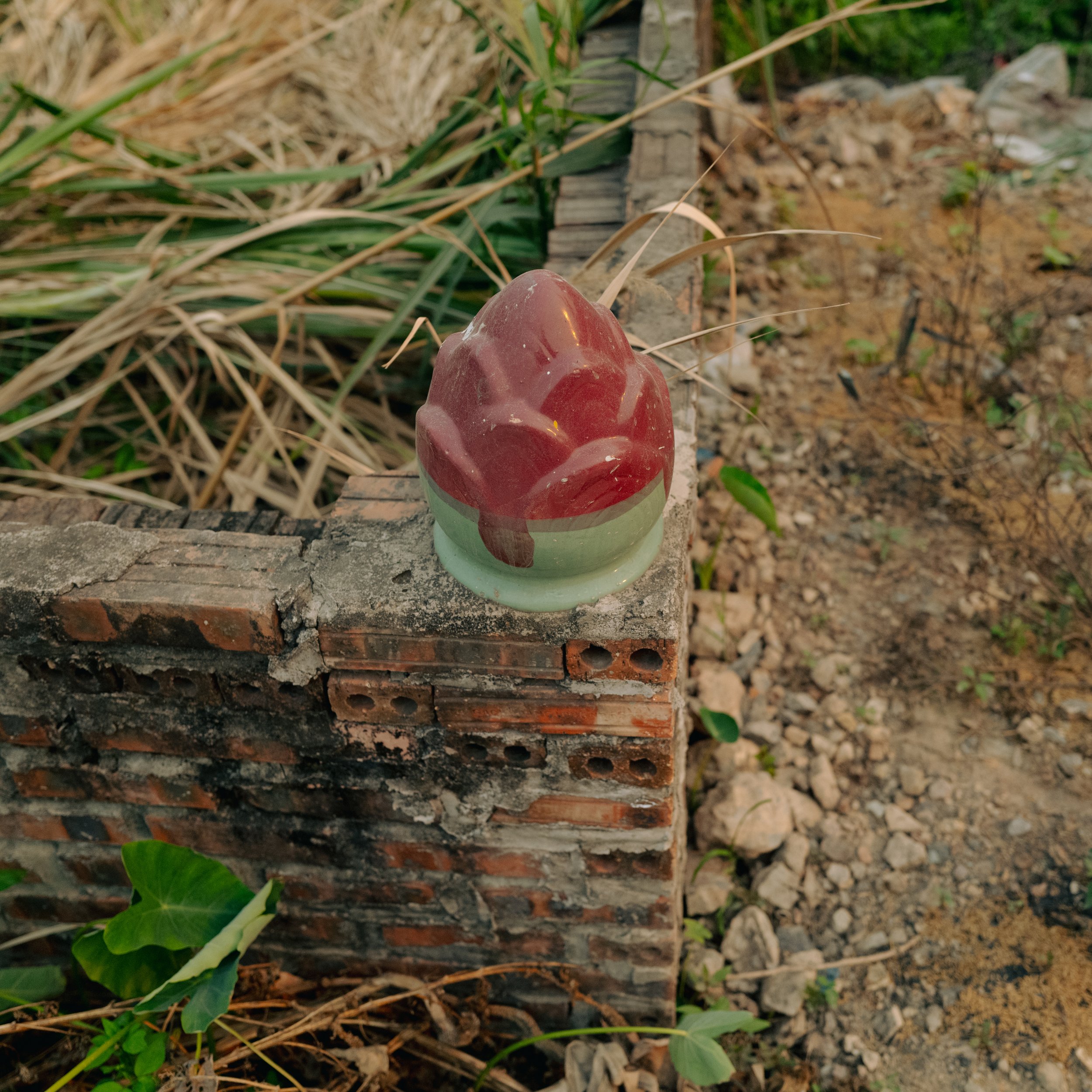 Ninh Binh, 2026.