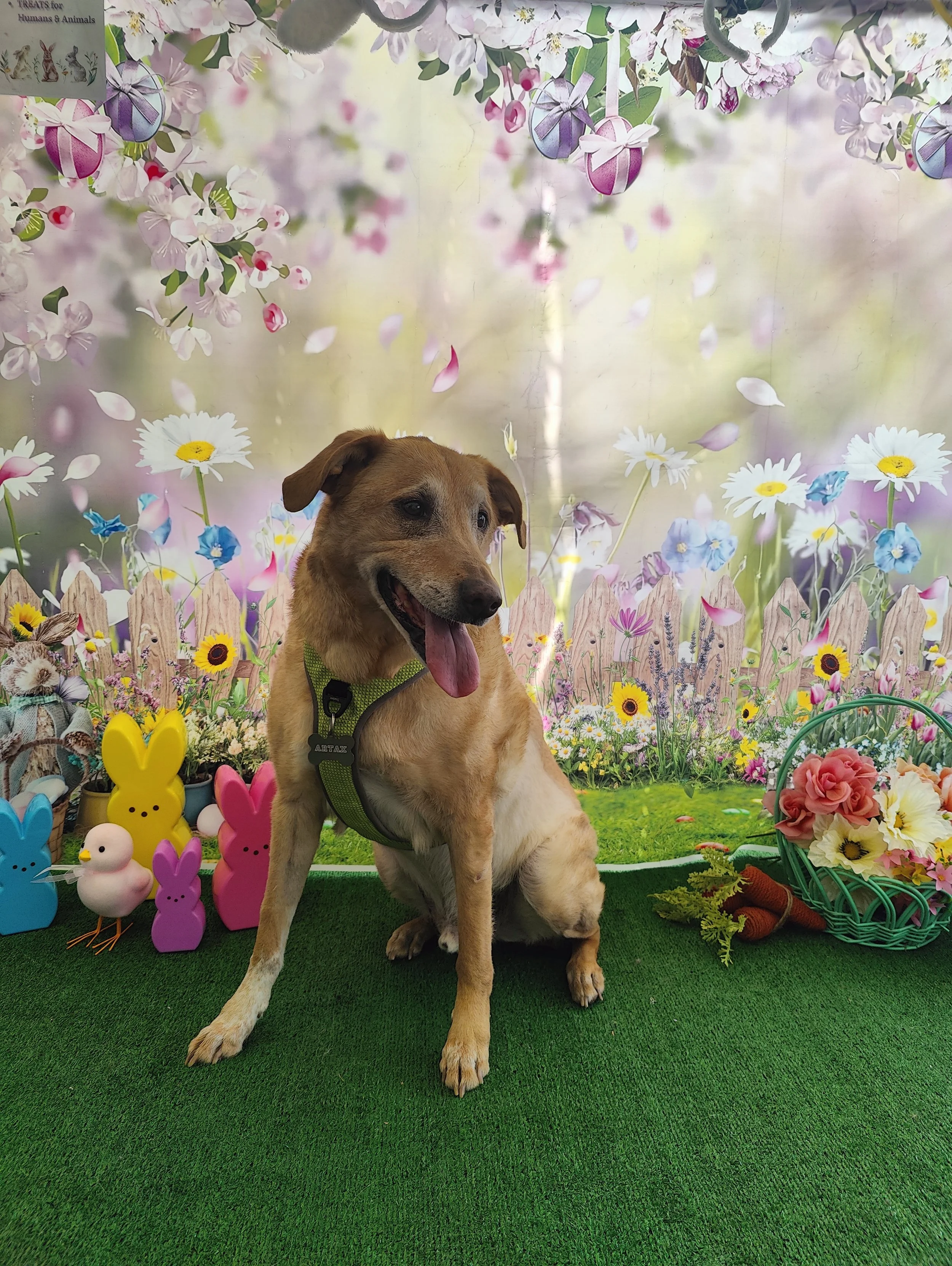 New Moon Endings, Become New Beginnings