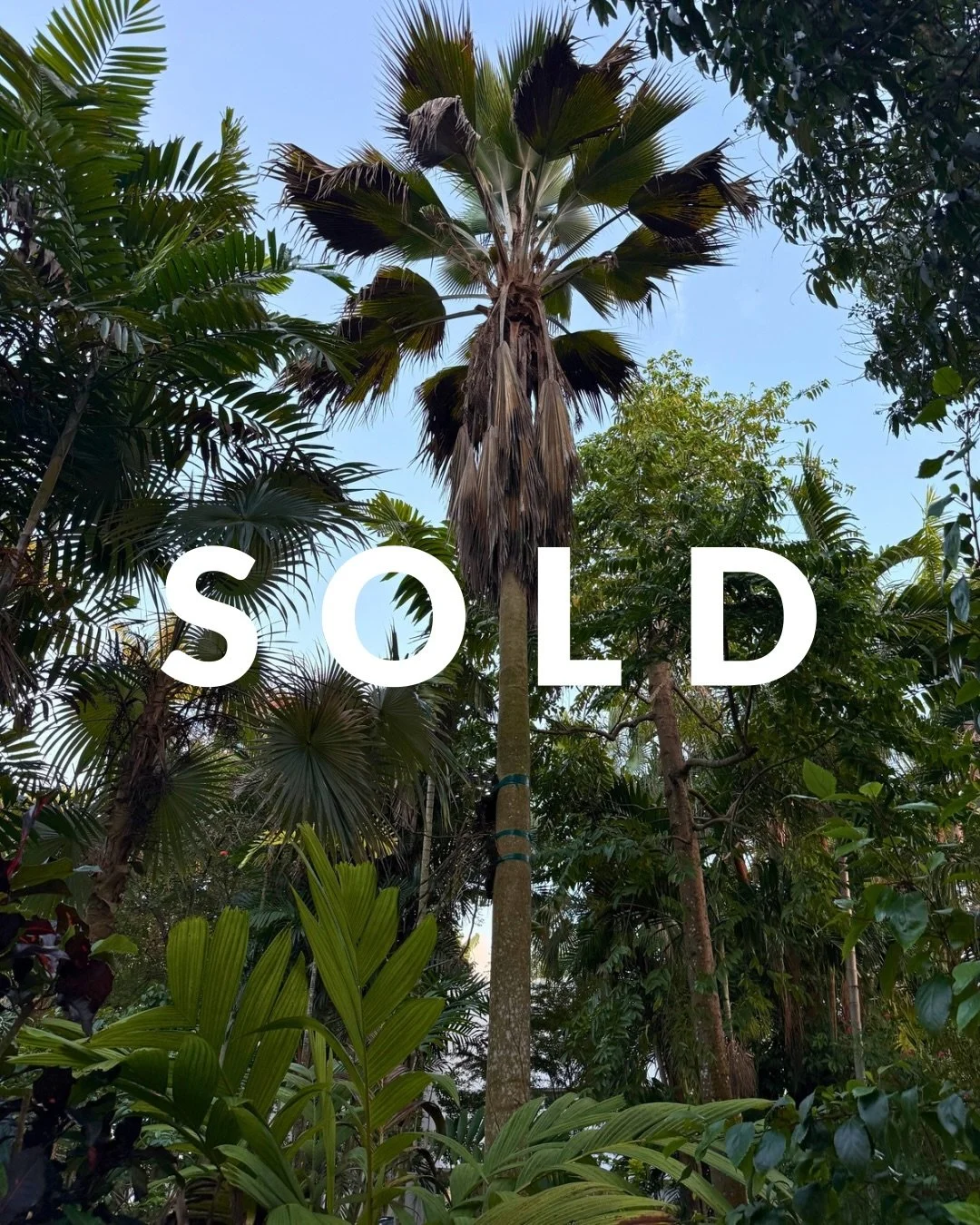 After kissing a few frogs along the way, our beloved buyers found their prince&mdash;not in a home, but in the perfect lot to build their own utopia. It was an honor to work with you through this process and we can&rsquo;t wait to see what you create