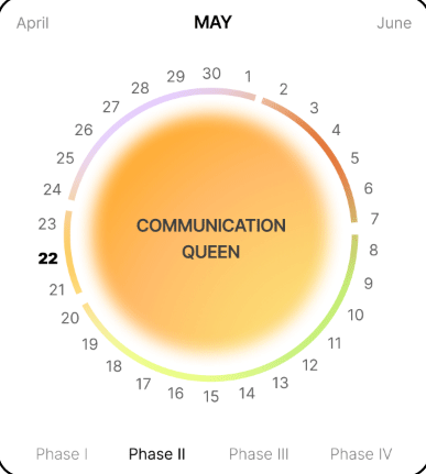 CYNC / Digital Product