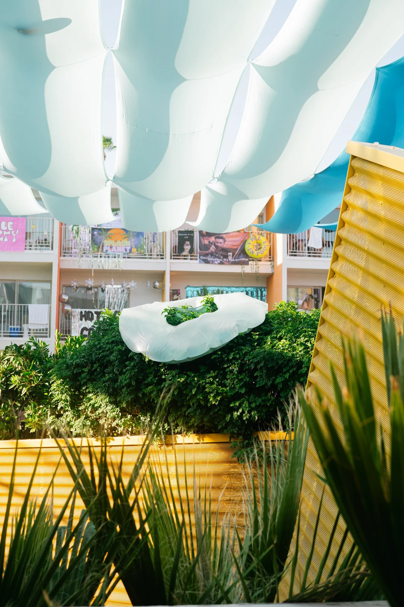 splashHouse_saguaro__luno_2025_SC (12).jpg