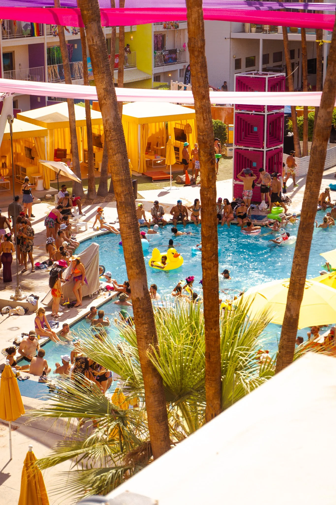 splashHouse_saguaro_2025_SC (129).jpg