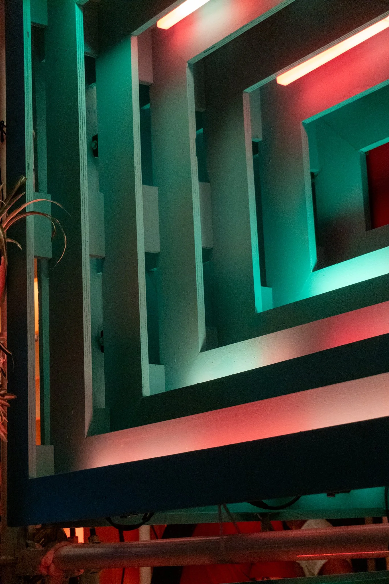 splashHouse_saguaro_2025_SC (120).jpg