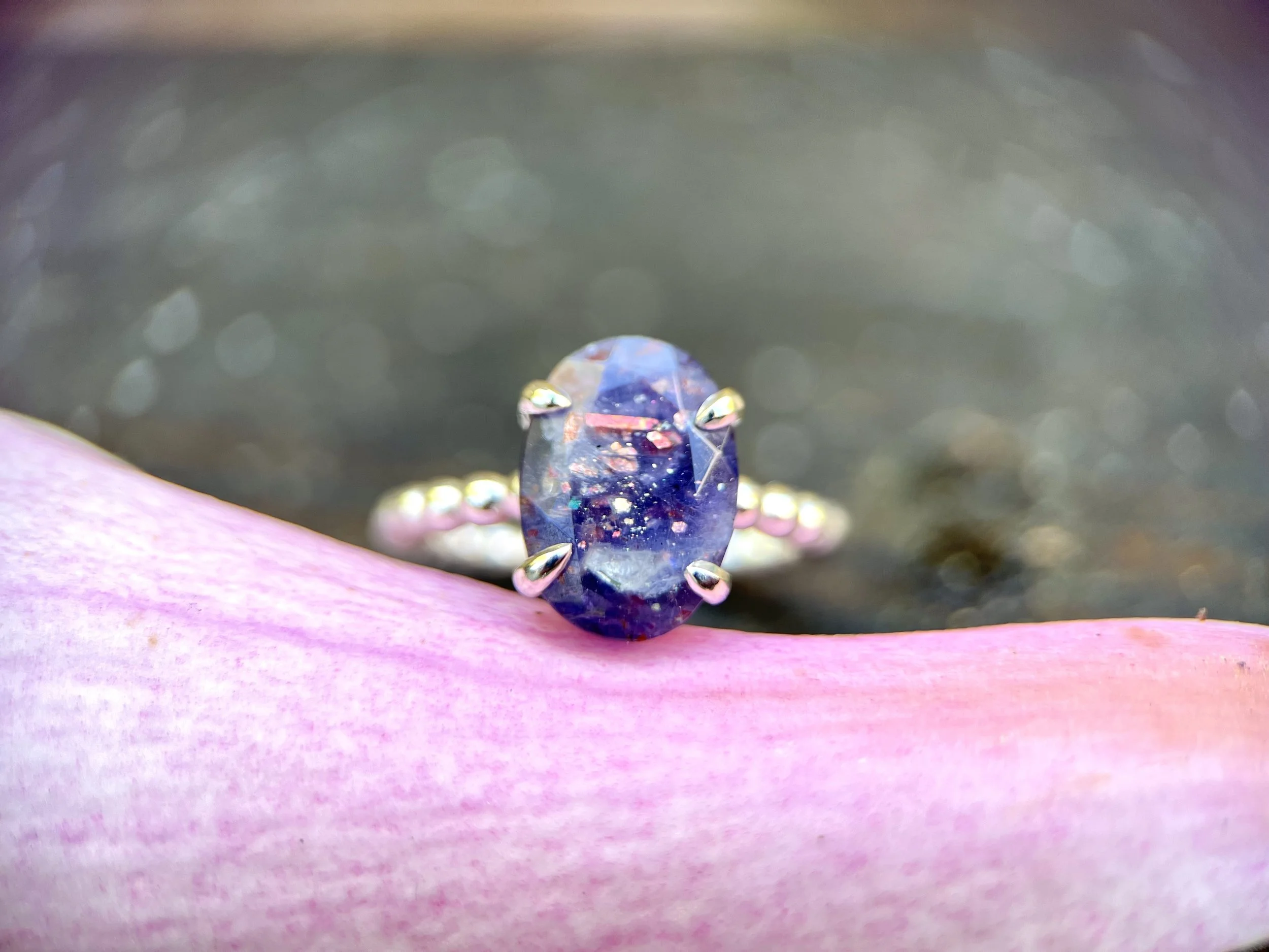 Bloody ioliet 2.jpeg