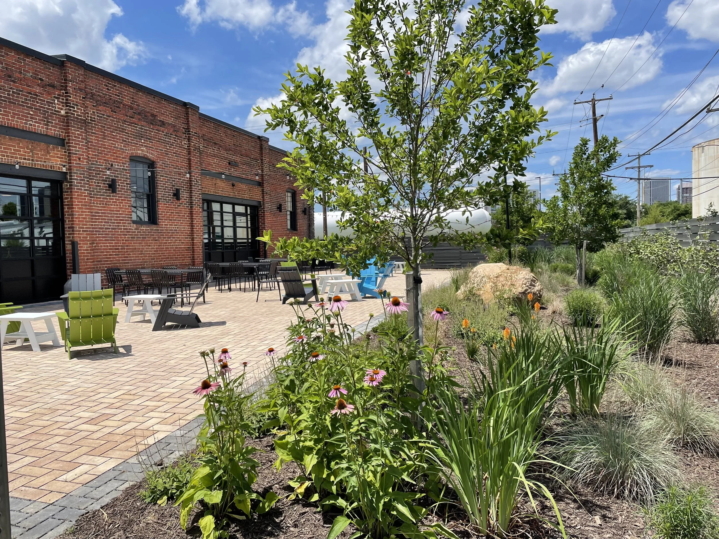 Kids First Collaborative Native Garden.jpeg