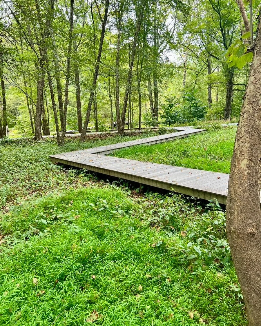 Celebrating 10 years in business this month by going back to school.&nbsp;
Learning about Plant Communities:&nbsp; Where Science and Art Meet
This summer I went back to school to learn about creating resilient plant communities.&nbsp; Imagine a thriv