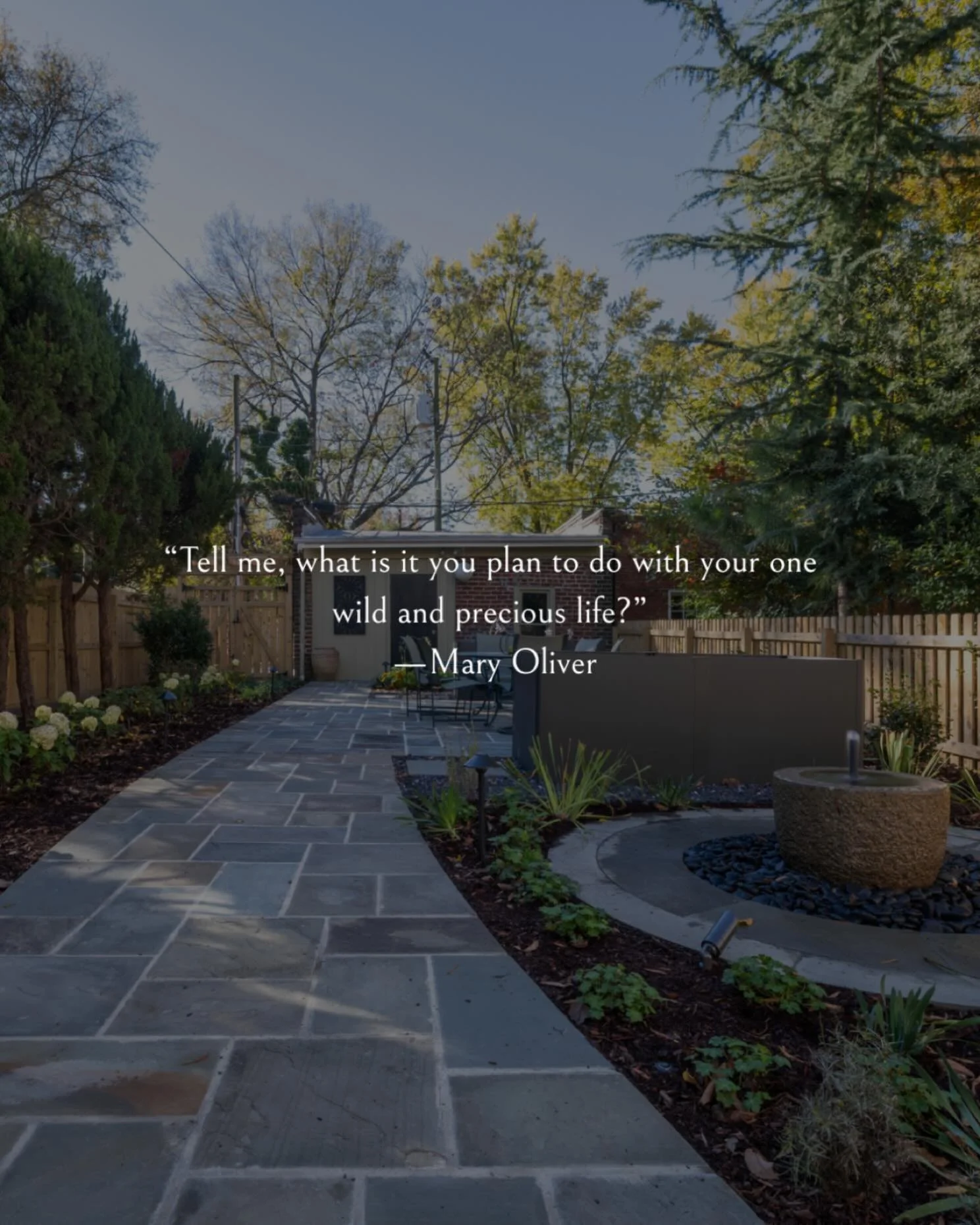 THANK YOU FAN GARDEN CLUB🌿

This month I had an opportunity to speak to a fabulous group of women caring for gardens in the heart of the city.  This quote was at the end of my presentation &amp; I loved exploring this with everyone who attended.  I 