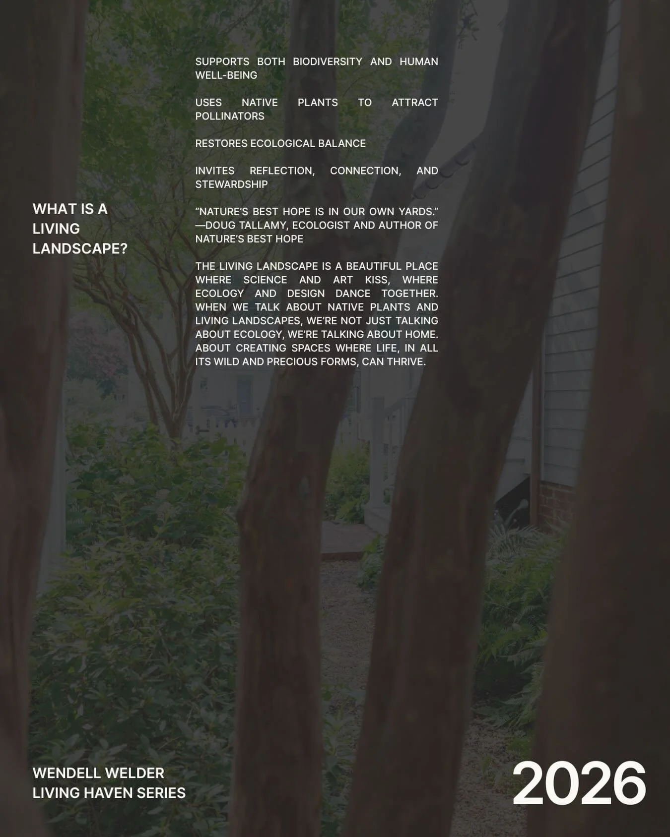 Living Haven Series | What Inspires My Work
Right now in Virginia, the earth feels frozen in place. You might be wondering&hellip; how is anything outside living at all?❄️
Under the ice, the earth is very much alive. As the ice melts the birds sing a