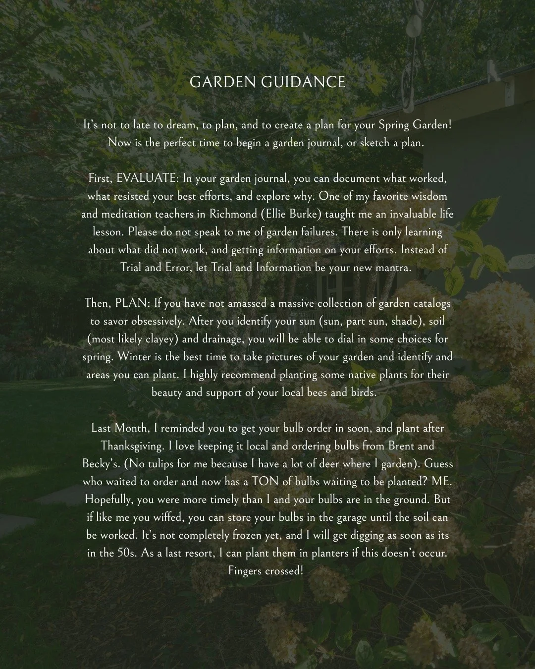 Garden Guidance for the Winter Months ahead. 

I share this &amp; more in my monthly newsletter. Subscribe via my link in bio.