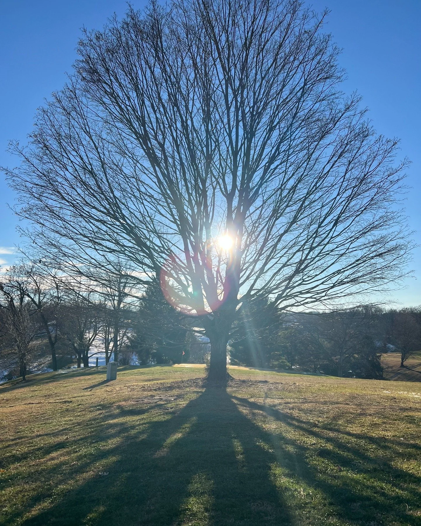 Your garden is already growing.
You just can&rsquo;t see it yet.

This week on the blog, I share A Winter Garden Meditation &mdash; a quiet walk through collapsed stems, shy daffodil tips, thirsty birds, and the kind of hope that only shows up when e