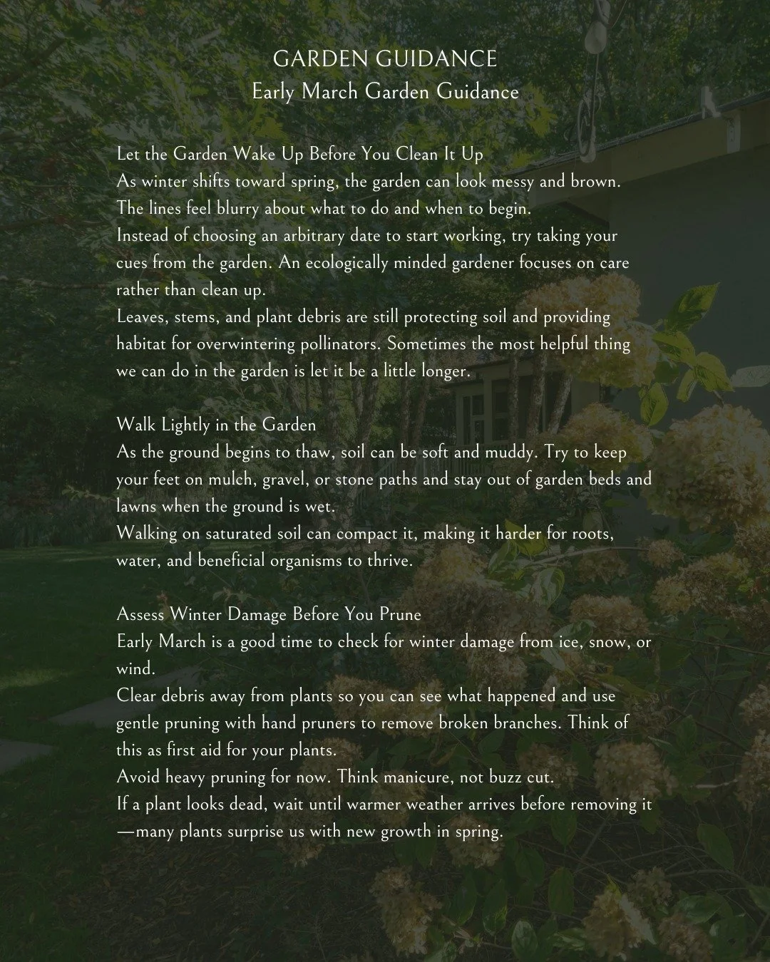 Nature is waking up &amp; so is your garden. Enjoy my Garden Guidance before you start to dig into the lovely Spring season. 

I'd love for you to share this post and subscribe to my monthly newsletter if you enjoyed this post!