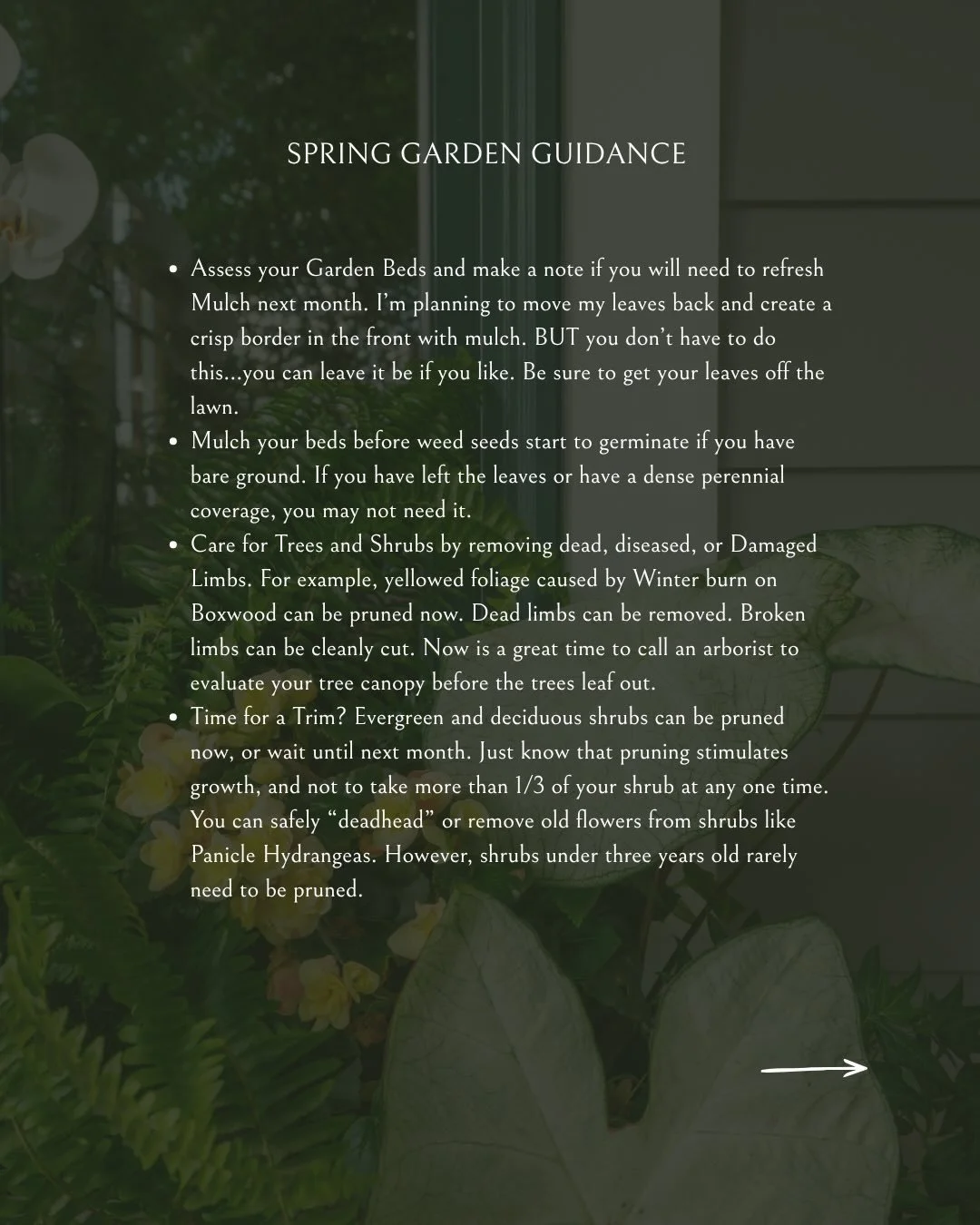 Going out into your garden this weekend? Here is some guidance🌿

See you in the garden!