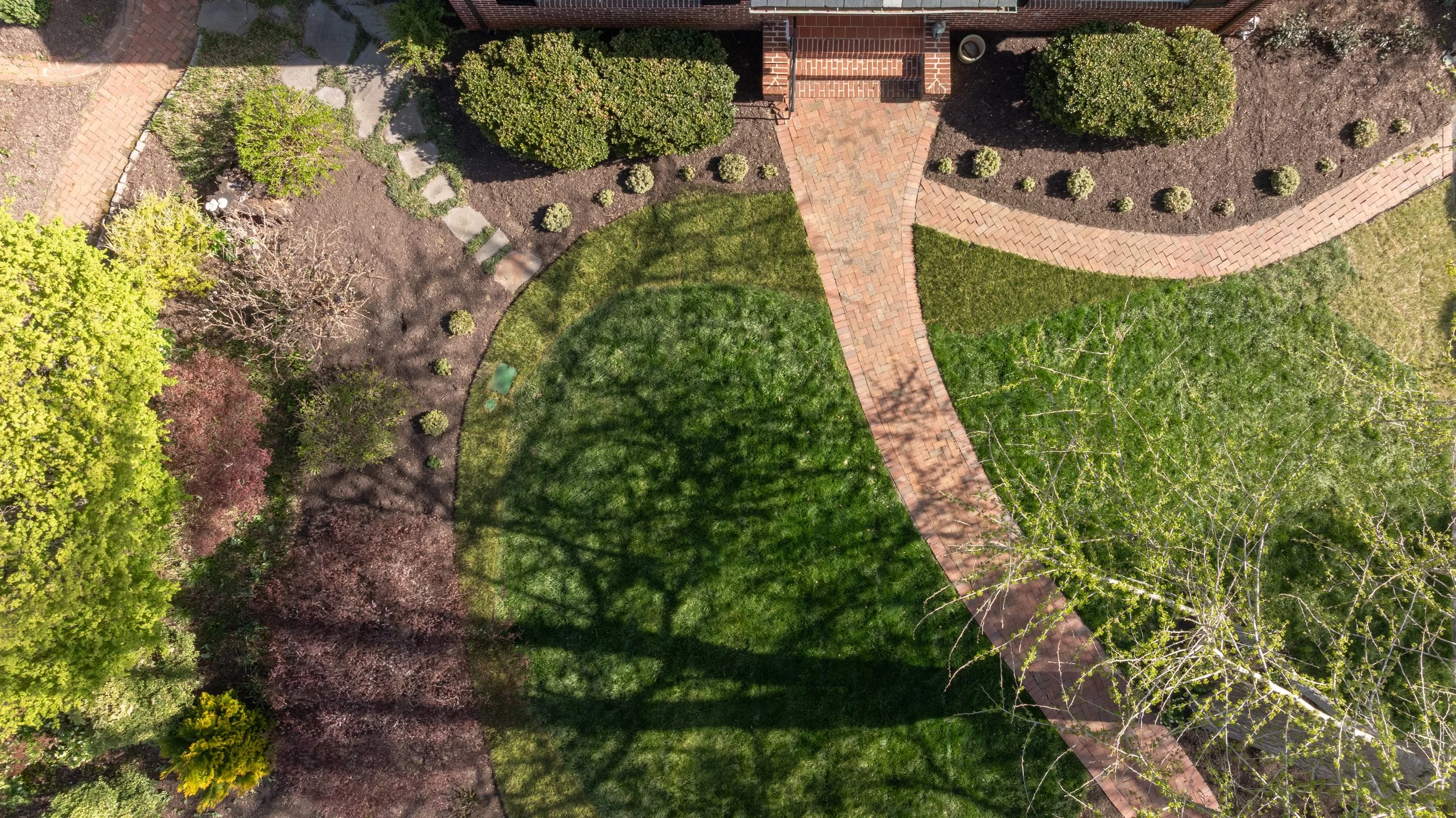 DJI_20260325103009_0006_D-HDR.jpg