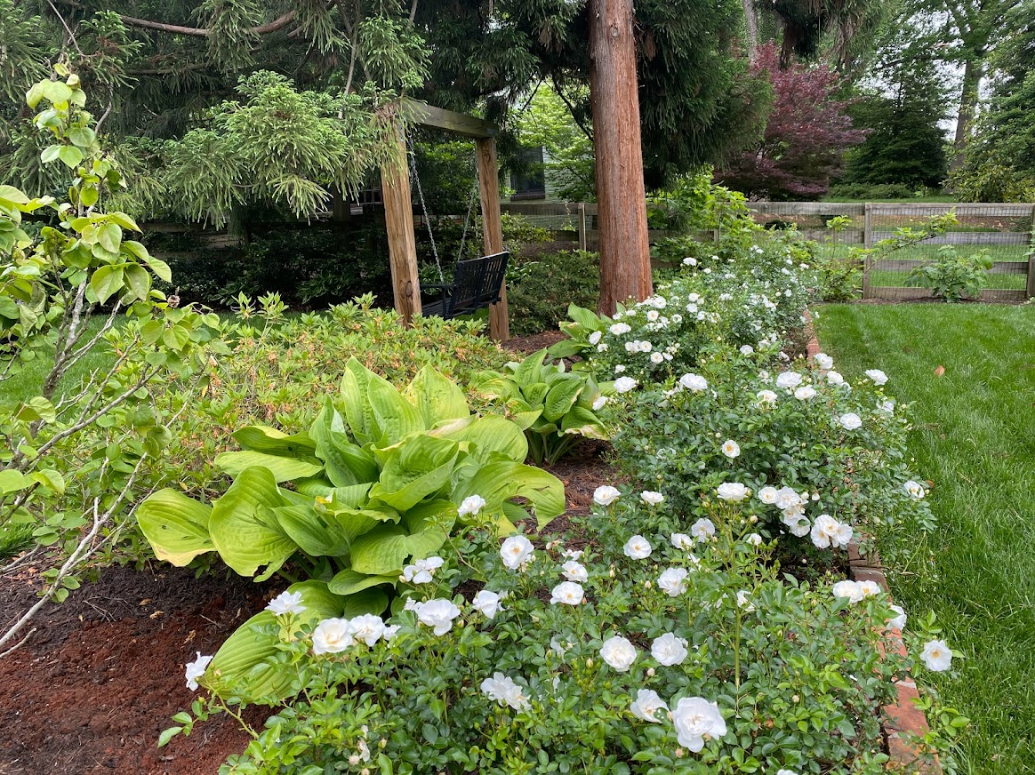 image (90).png