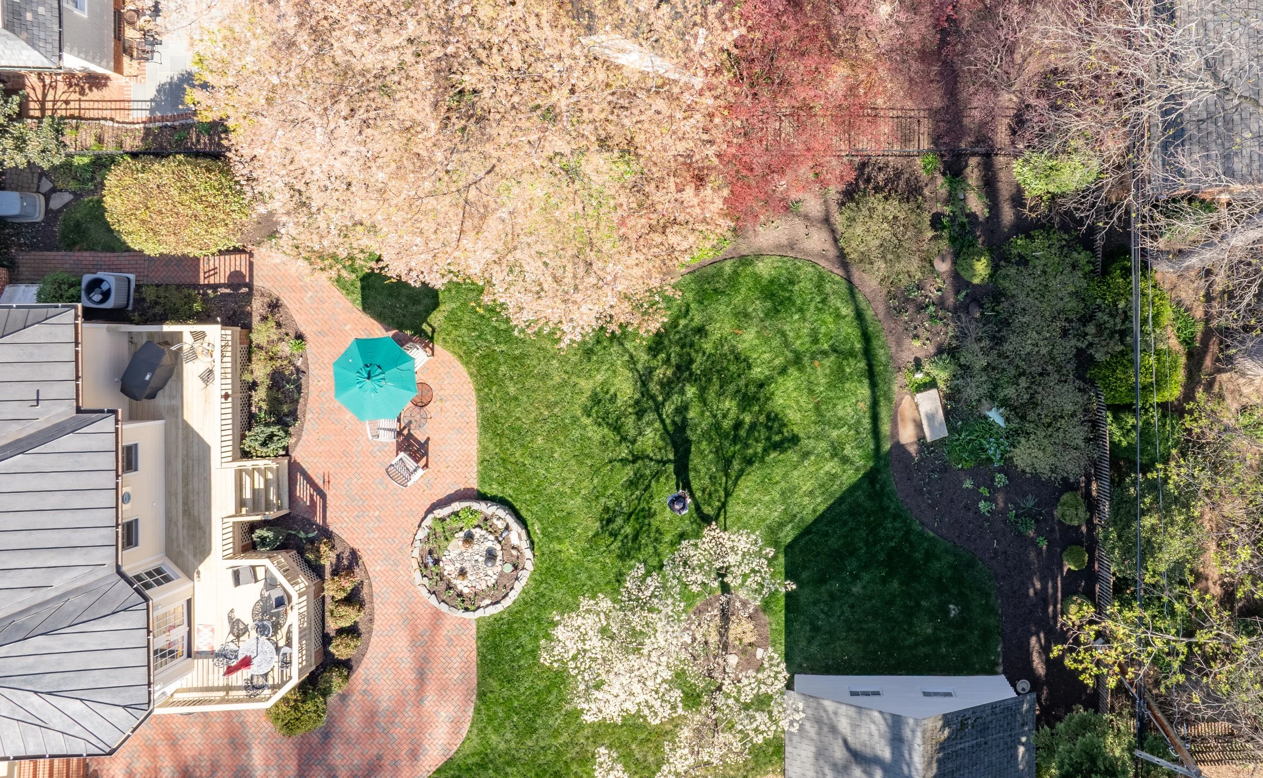 DJI_20260325103521_0051_D-HDR.jpg