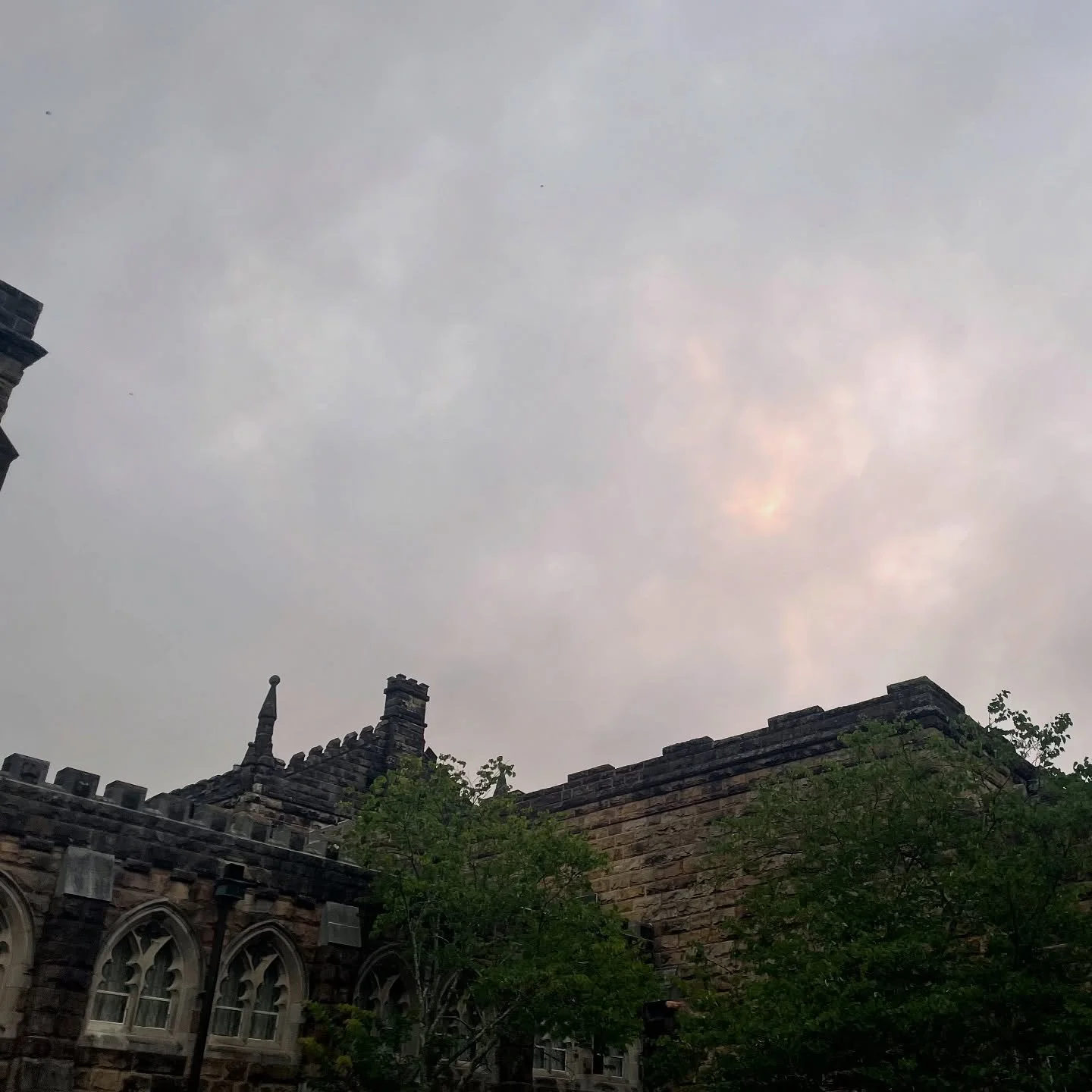 sewanee sewaneeee sewaneeeeee 2025

content note: big ass moths

the lovely @anandalima took our workshop group photo :&rsquo;)