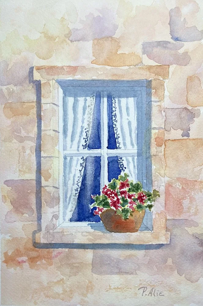 Window # 6, 31 minutes