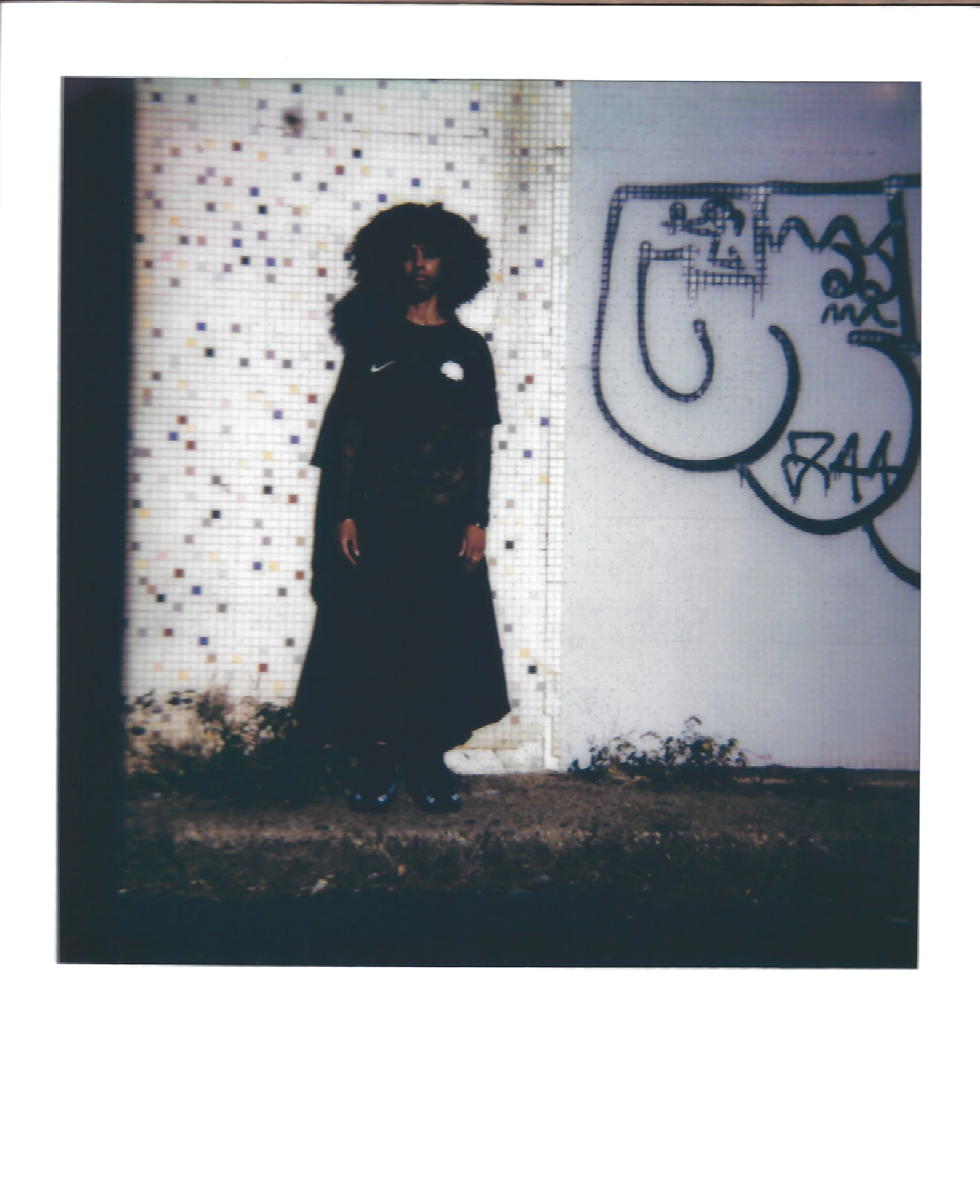 vdfc_polaroid_004_final.JPG