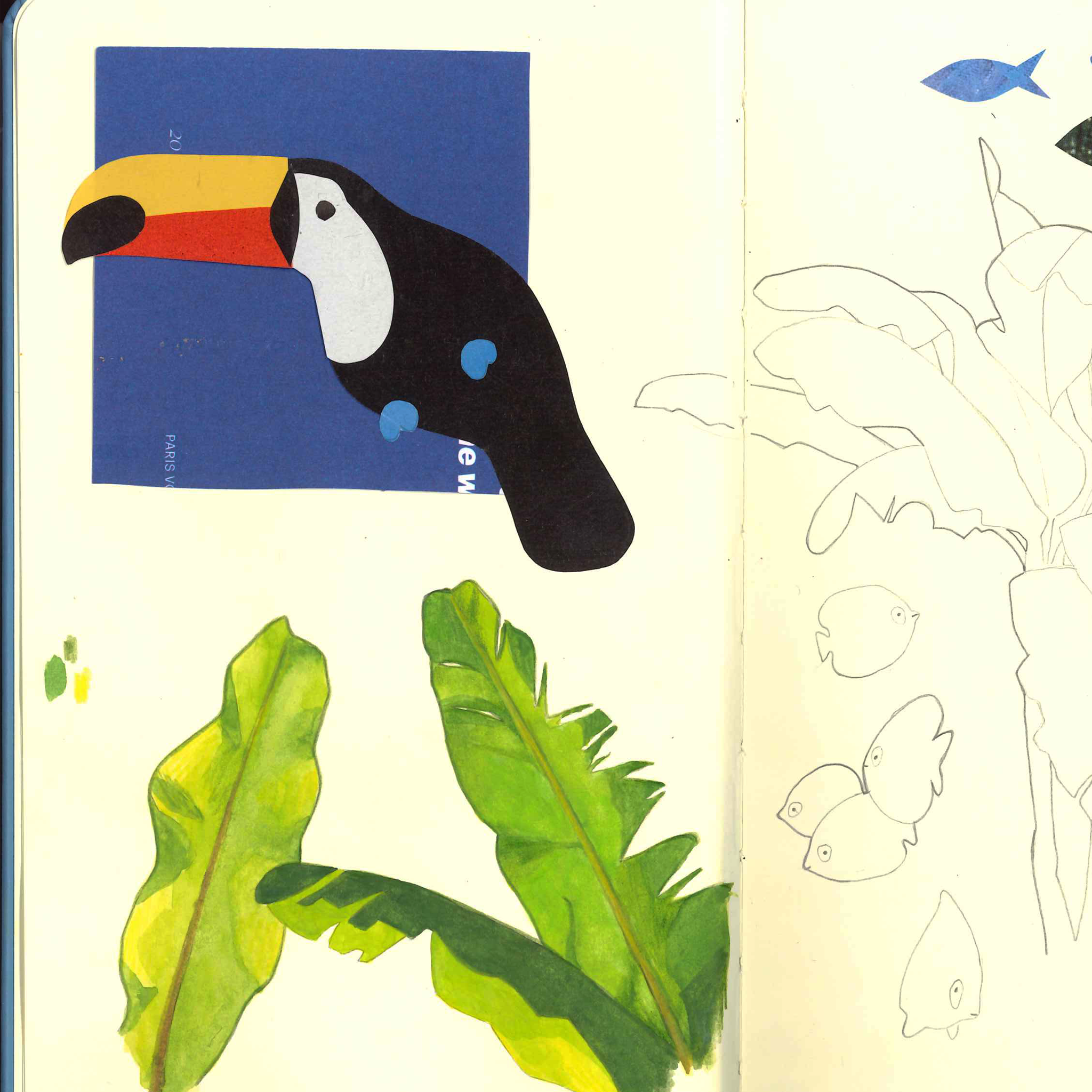 sketchbookpg1.png