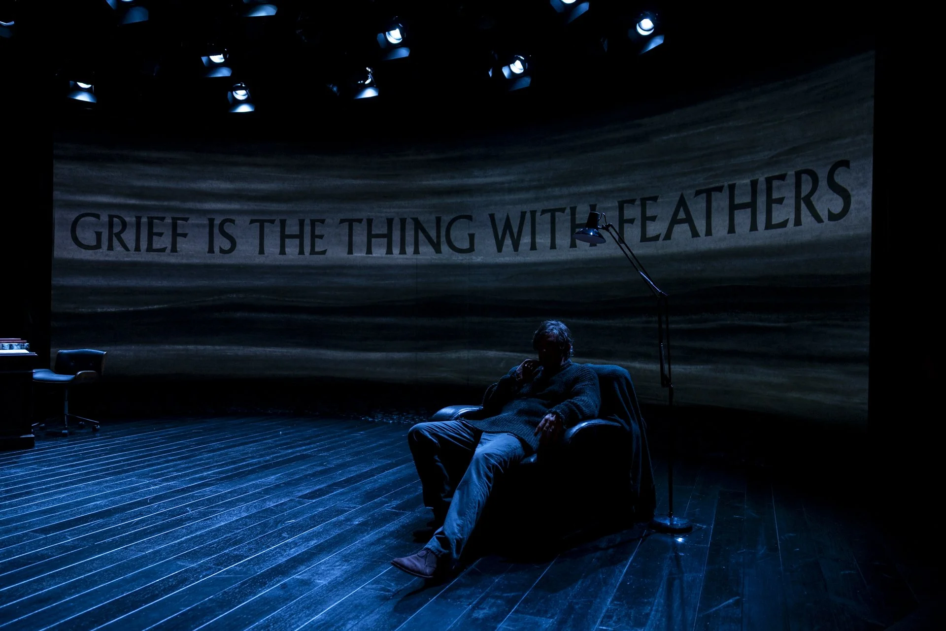 BELVOIR_GriefIsTheThingWithFeathers_Production_PhotoBrettBoardman_000893_Toby Schmitz.jpg