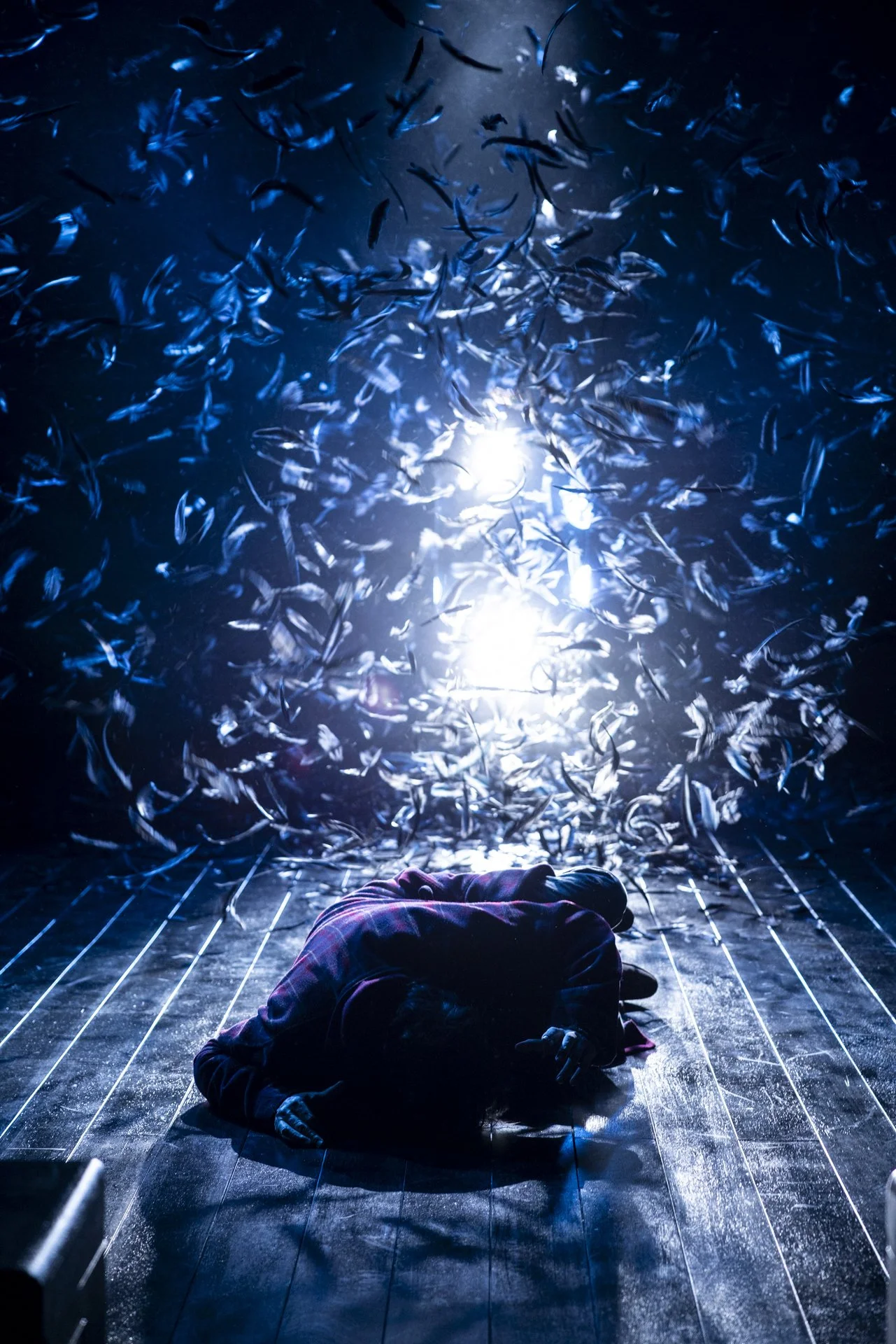 BELVOIR_GriefIsTheThingWithFeathers_Production_PhotoBrettBoardman_001333_Toby Schmitz.jpg