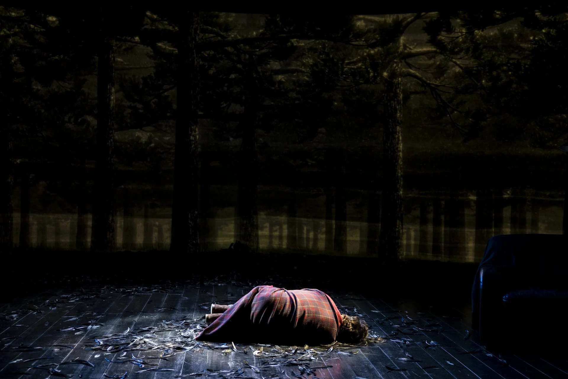 BELVOIR_GriefIsTheThingWithFeathers_Production_PhotoBrettBoardman_001698_Toby Schmitz.jpg