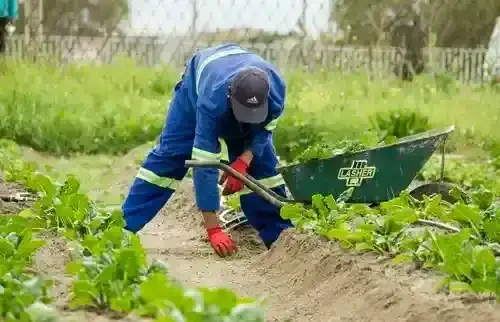Landscaping services Ottawa