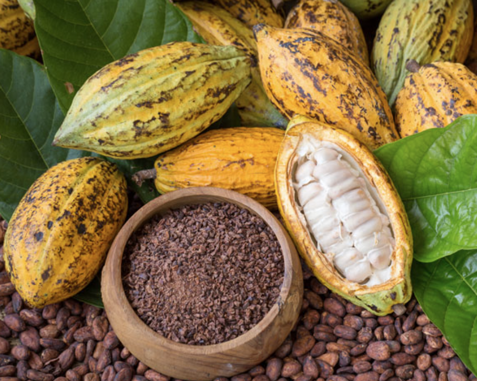 Screenshot 2026-04-20 at 10.32.12 AM.png