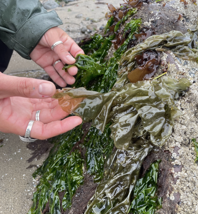 Screenshot 2026-04-20 at 10.33.06 AM.png