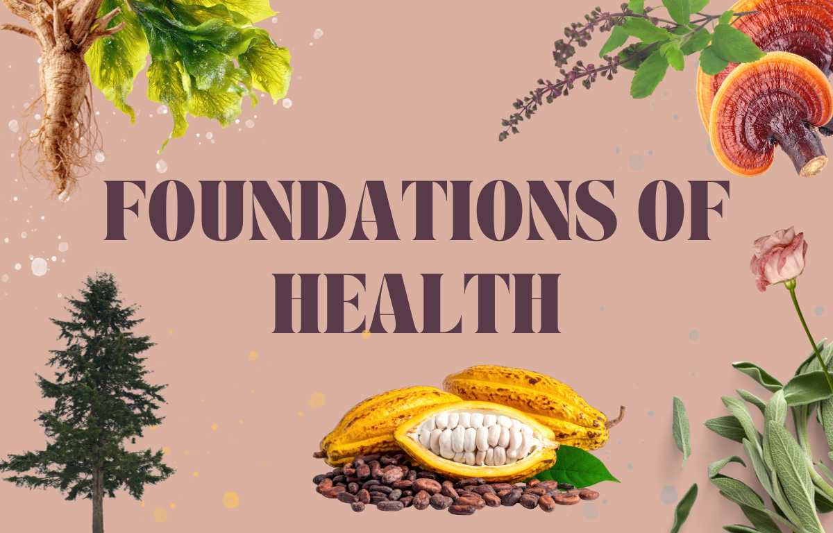 Foundations of Health: Regenerative Herbal Tonics and Nature Practices Immersion 