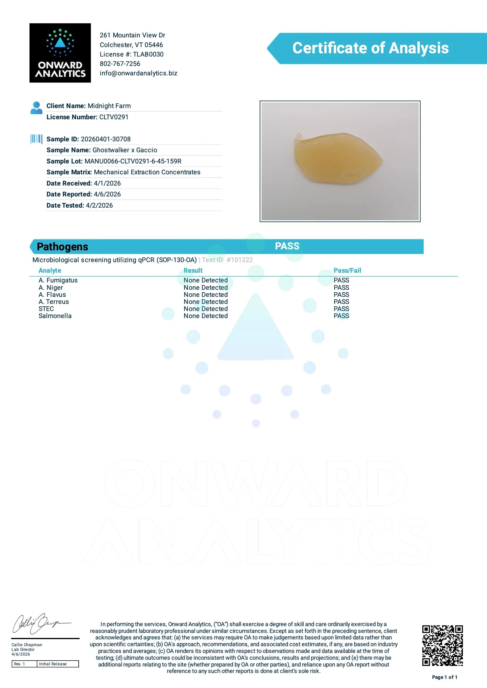 20260401-30708-Pathogens.jpeg