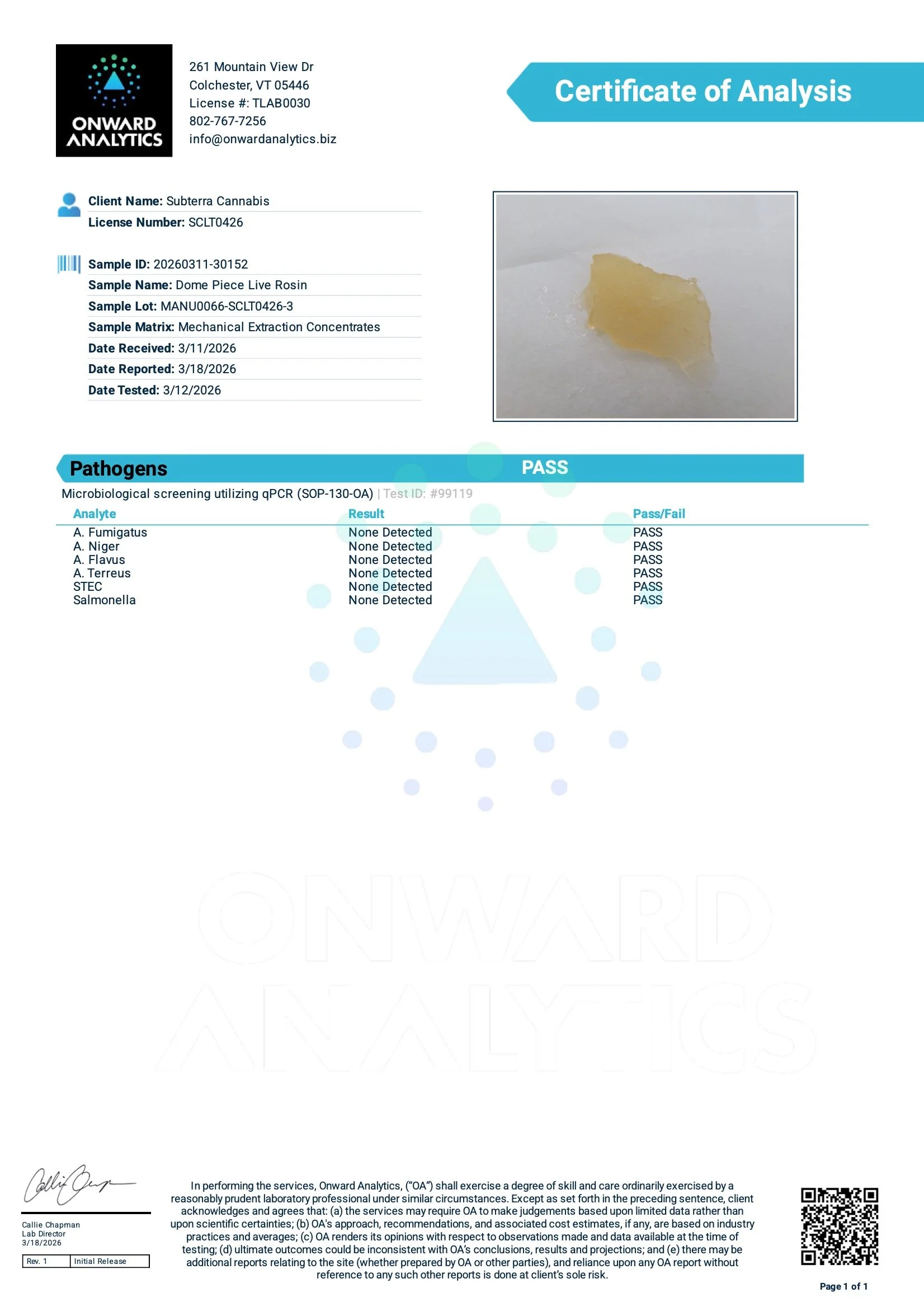 20260311-30152-Pathogens.jpeg